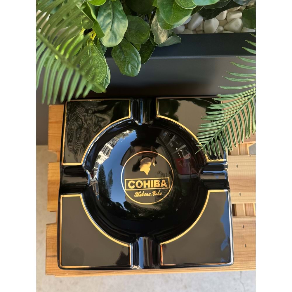 Puro Küllüğü 21*21