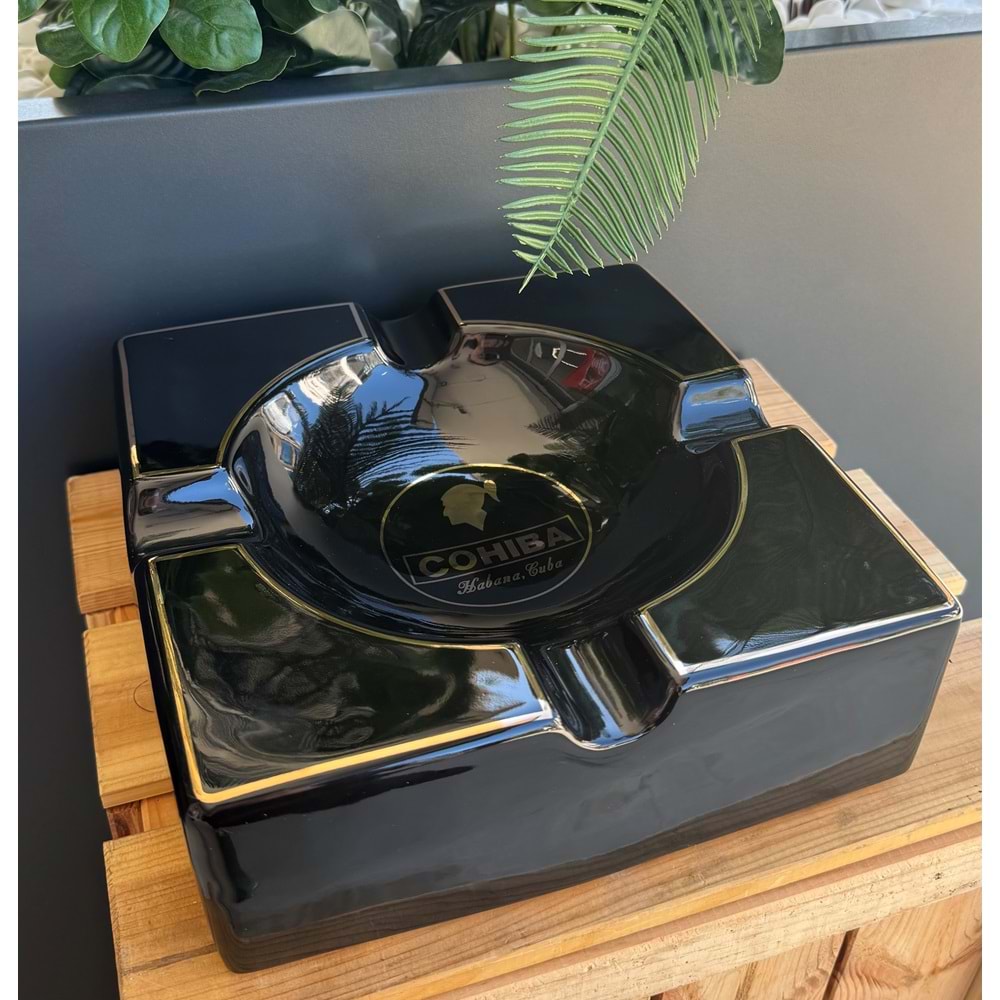 Puro Küllüğü 21*21