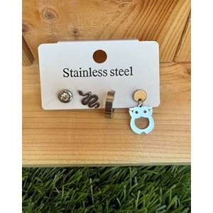 Çelik Küpe Seti /gümüş Renk