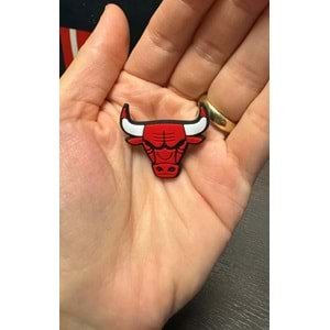Terlik Süsü/Basketbol Logosu Boğa