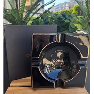 Puro Küllüğü 21*21