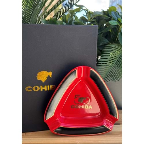 Puro Küllüğü 16*16