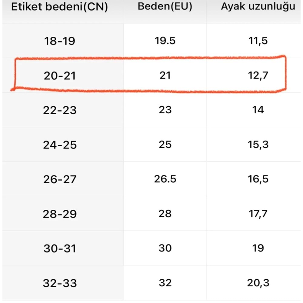Dinozor Desenli Çocuk Ev Patiği