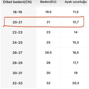 Dinozor Desenli Çocuk Ev Patiği