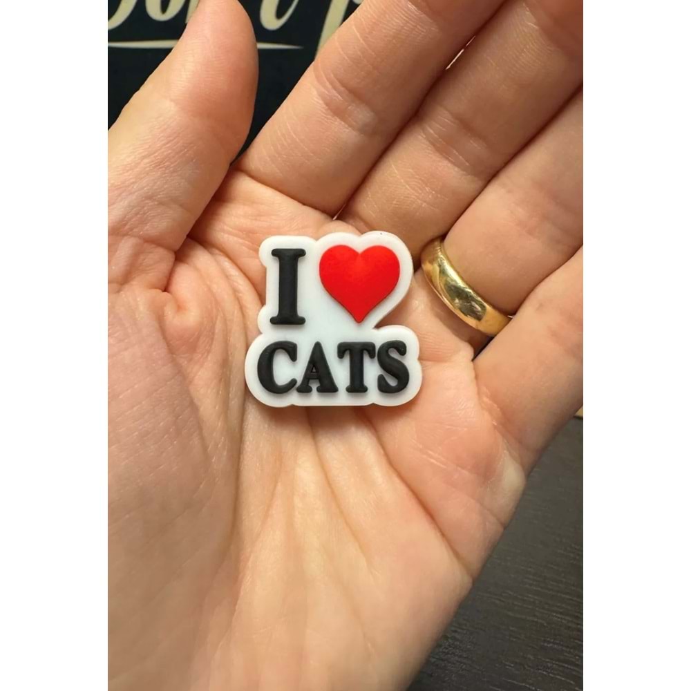 Terlik Süsü/I Love Cats